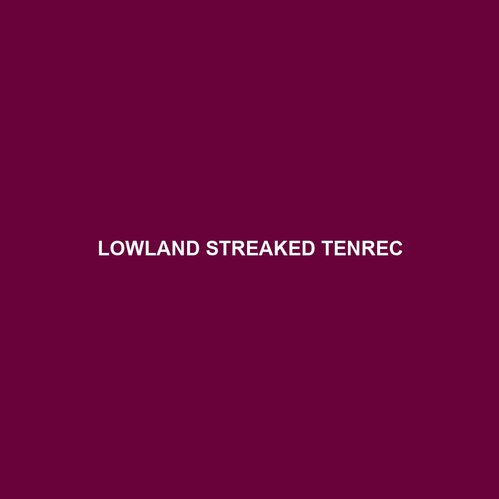 Lowland Streaked Tenrec