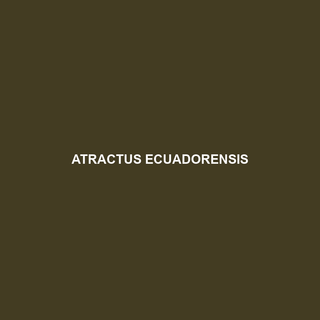 Atractus ecuadorensis