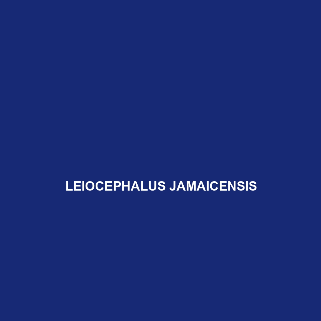 Leiocephalus jamaicensis