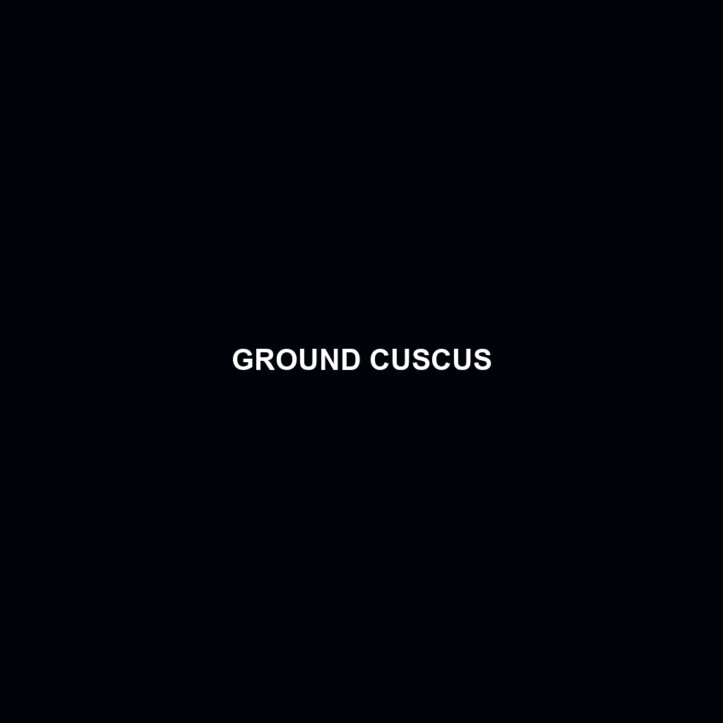 Ground Cuscus