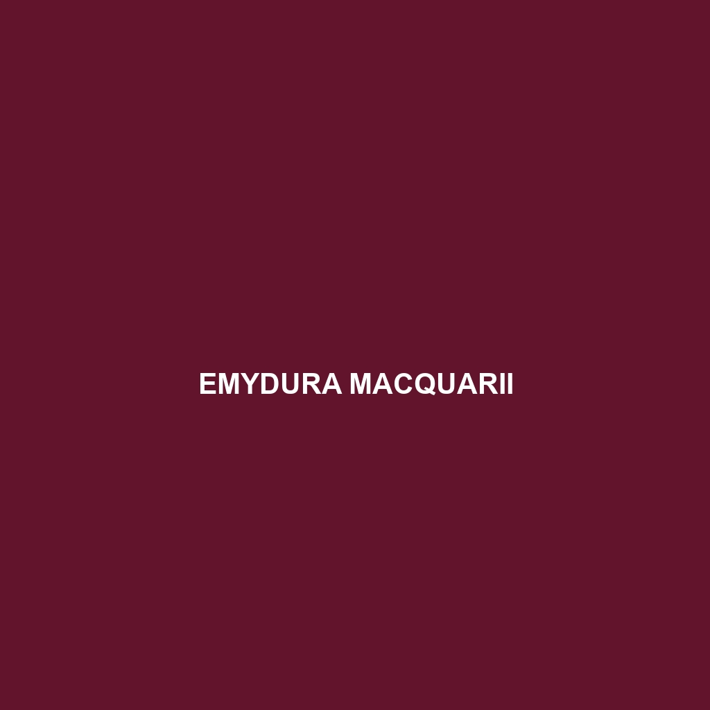 Emydura macquarii