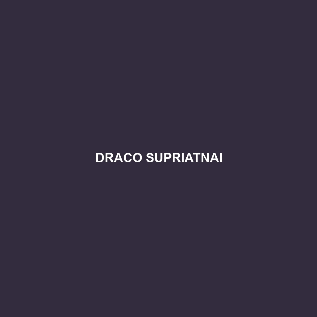 Draco supriatnai