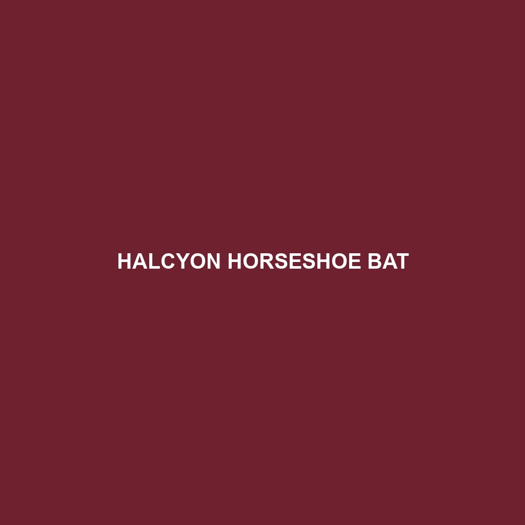 Halcyon Horseshoe Bat