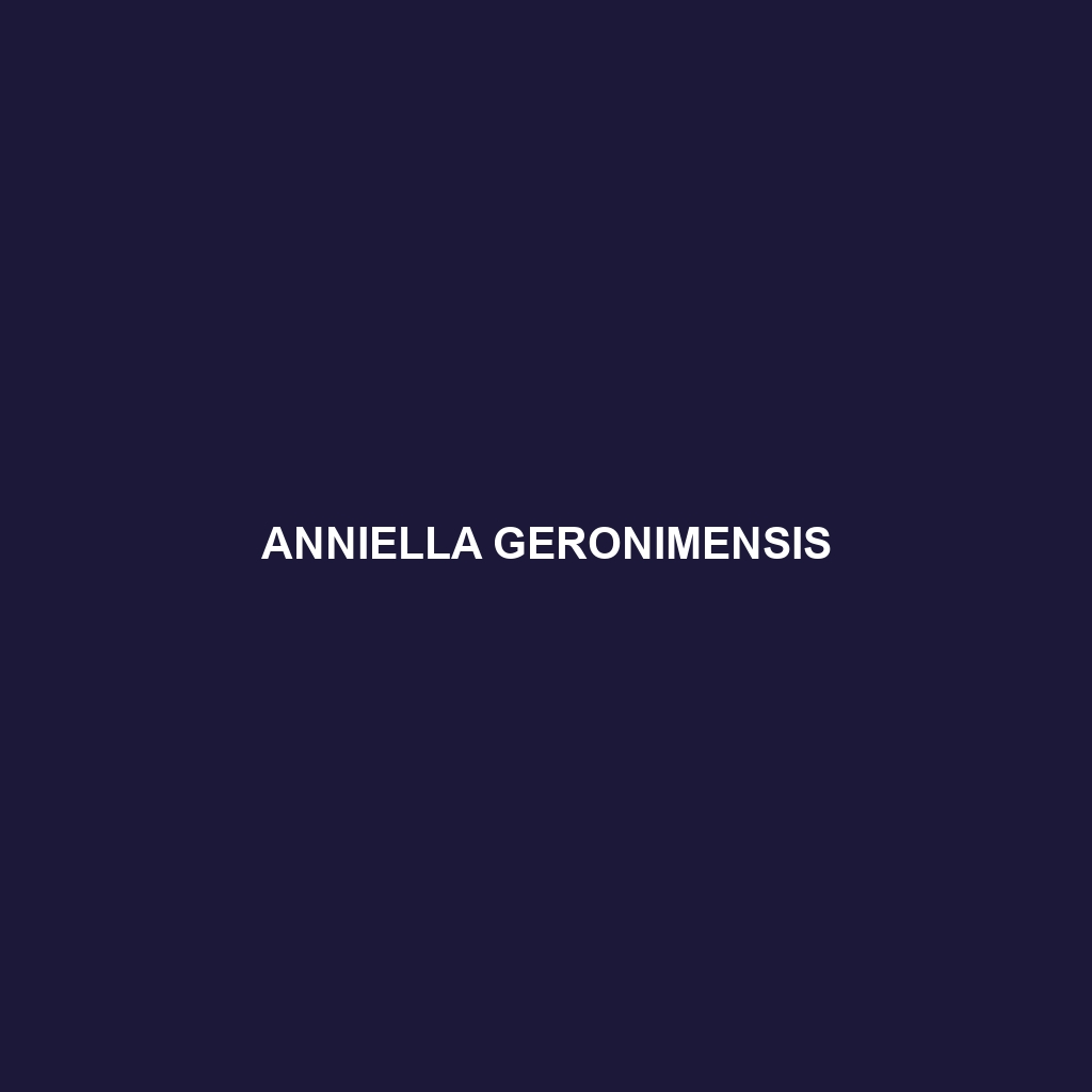 Anniella geronimensis