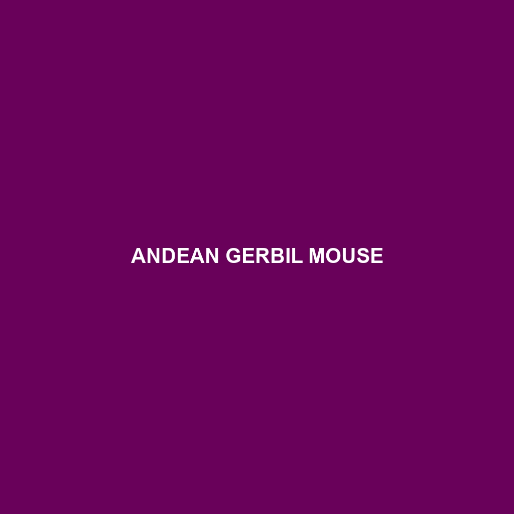 Andean Gerbil Mouse