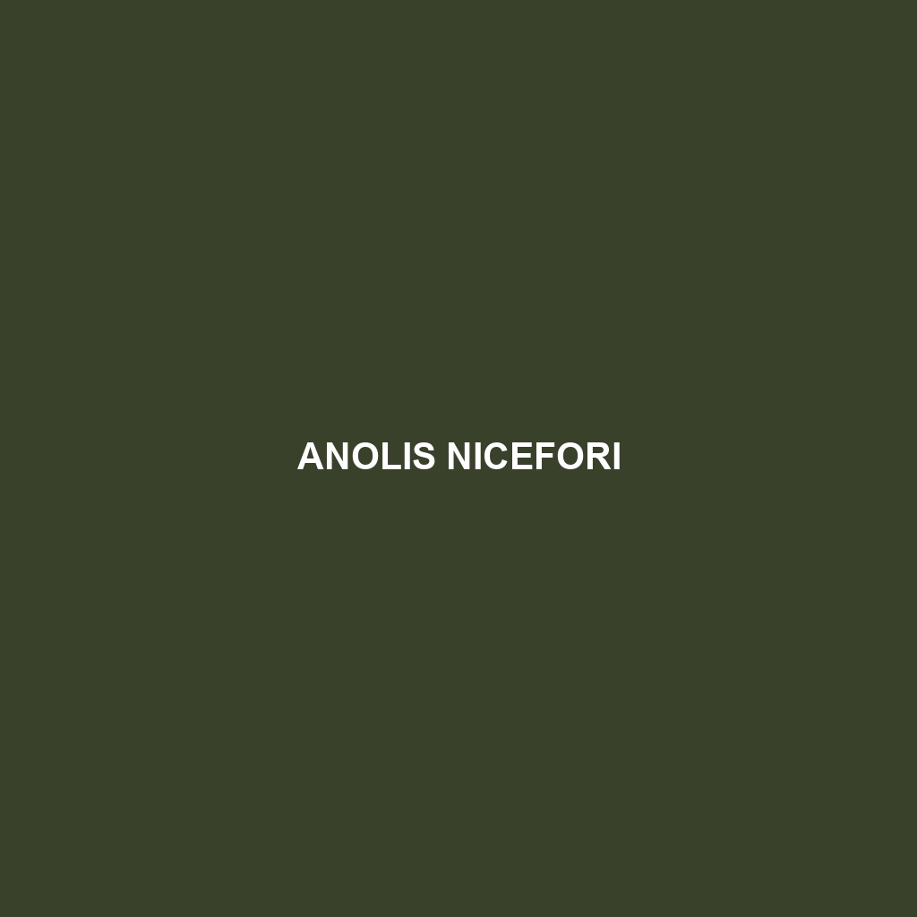 Anolis nicefori