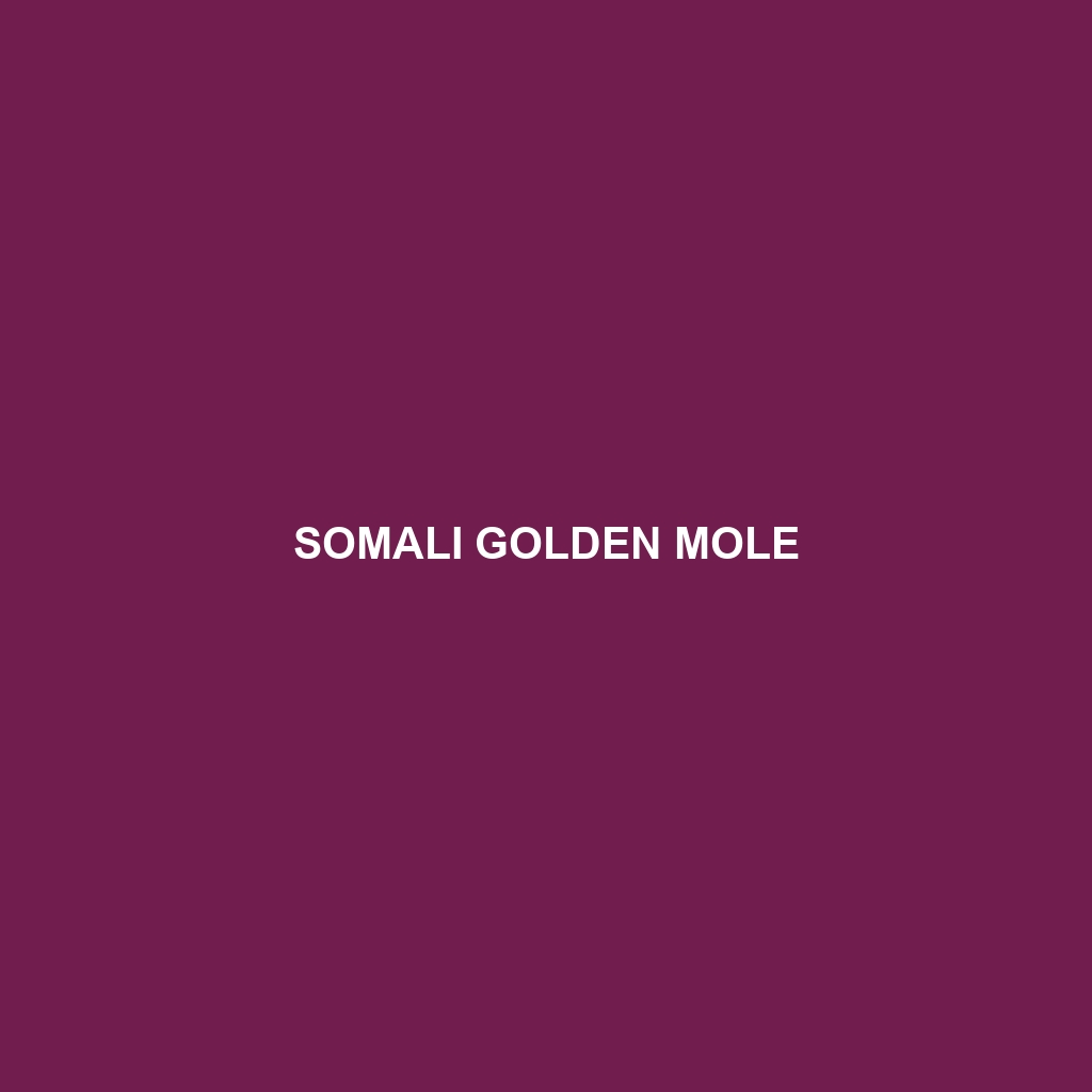 Somali Golden Mole