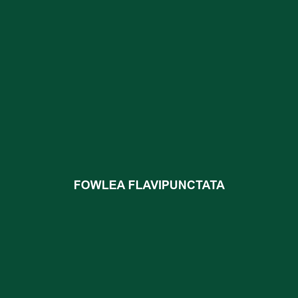 Fowlea flavipunctata