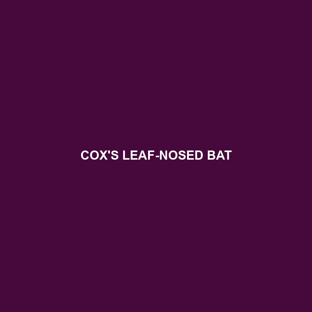 Cox's Leaf-nosed Bat