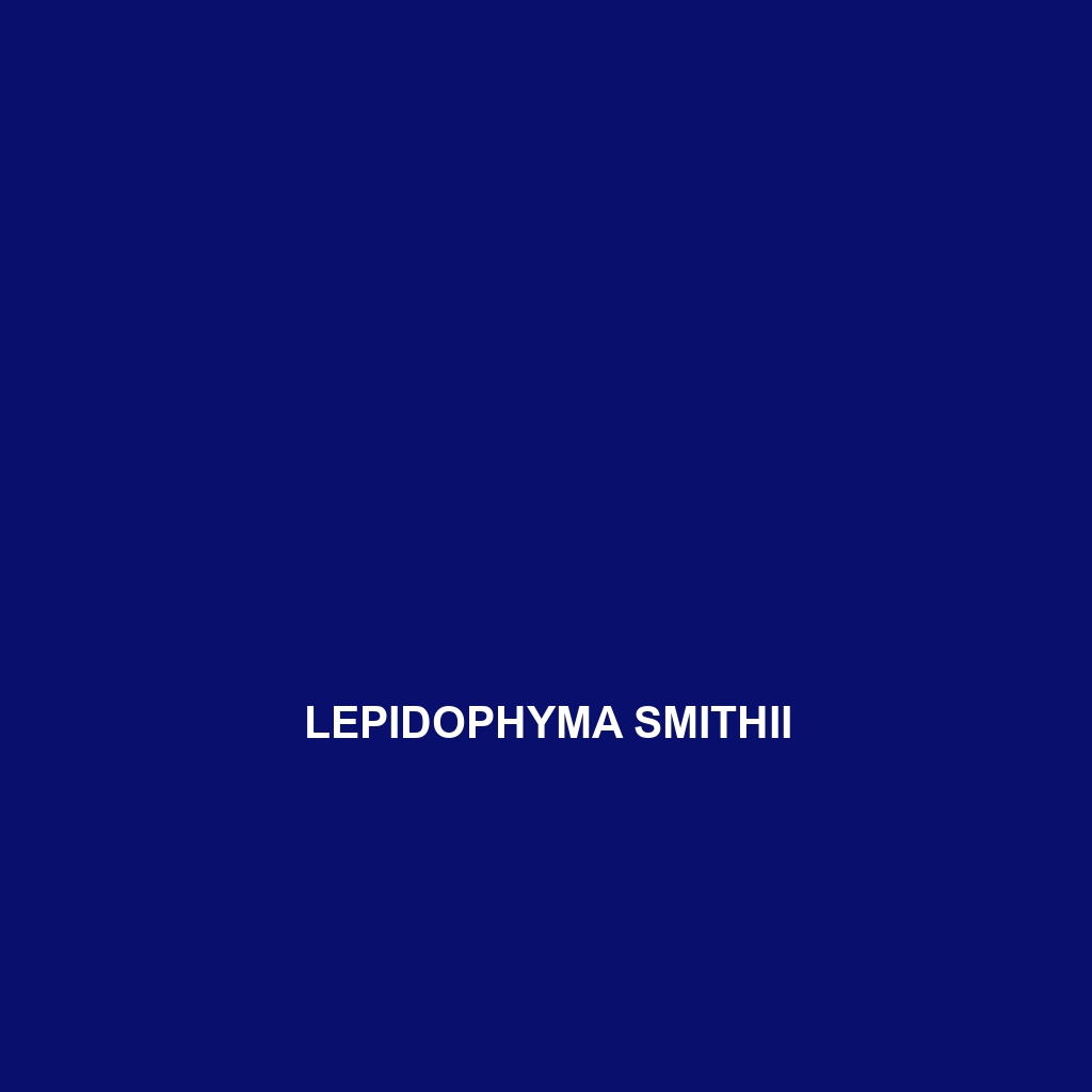 Lepidophyma smithii