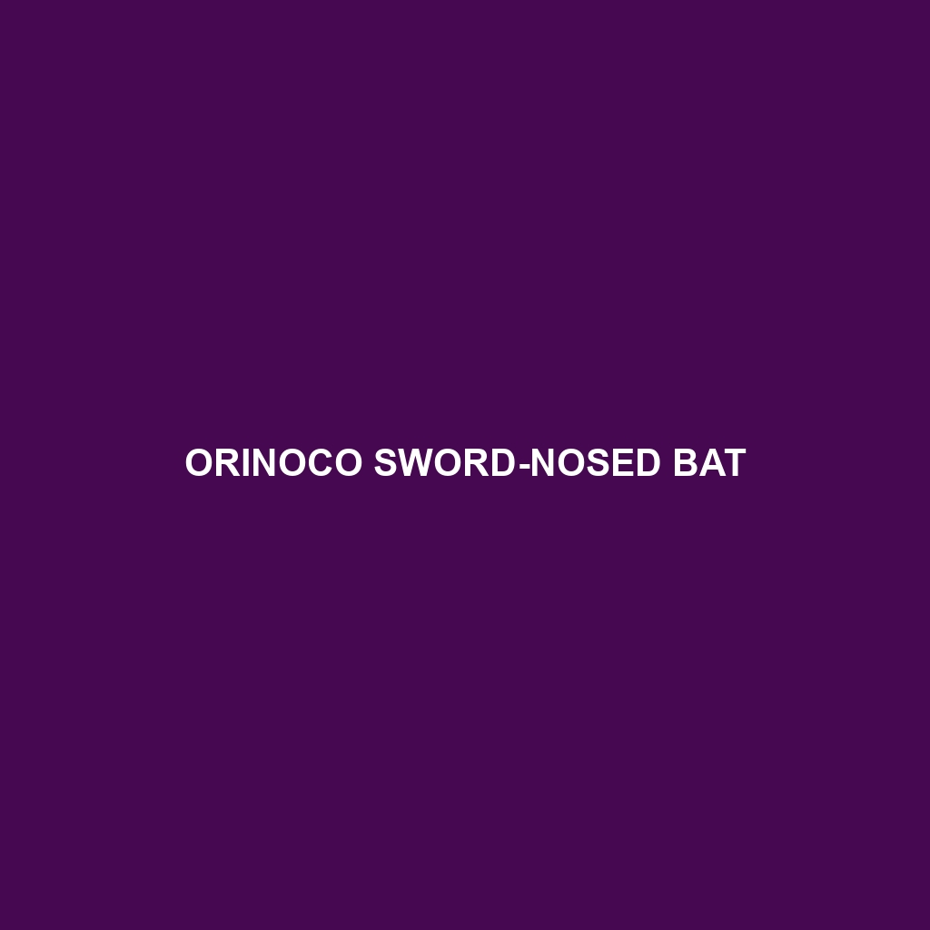 Orinoco Sword-nosed Bat