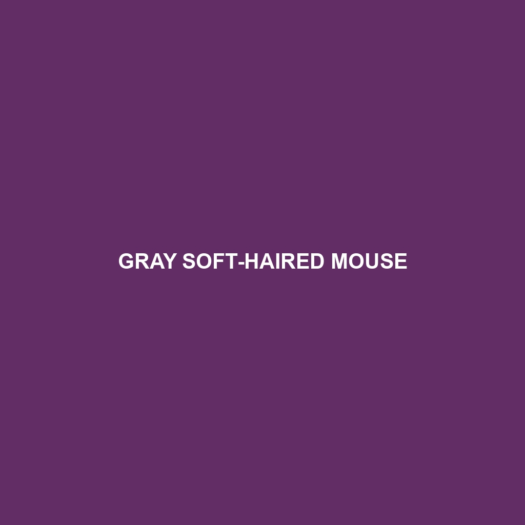 Gray Soft-haired Mouse