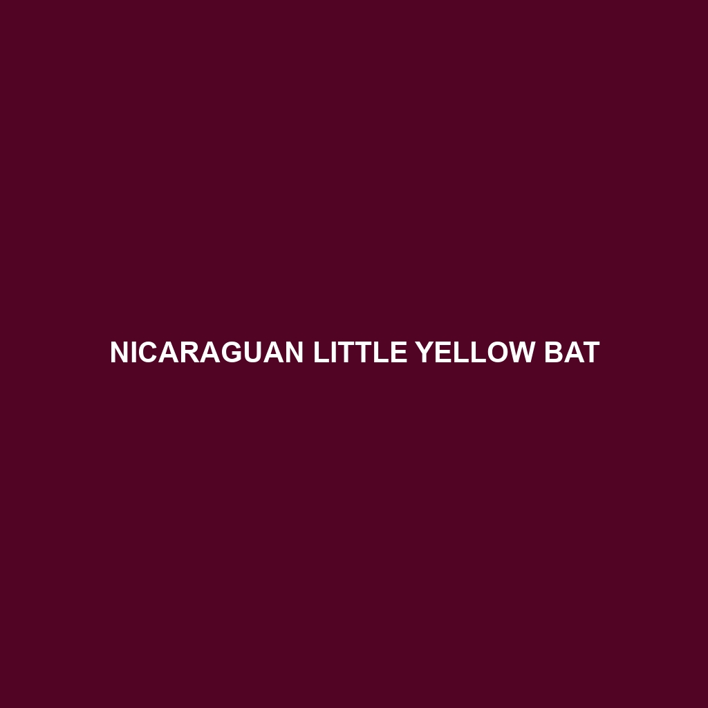 Nicaraguan Little Yellow Bat