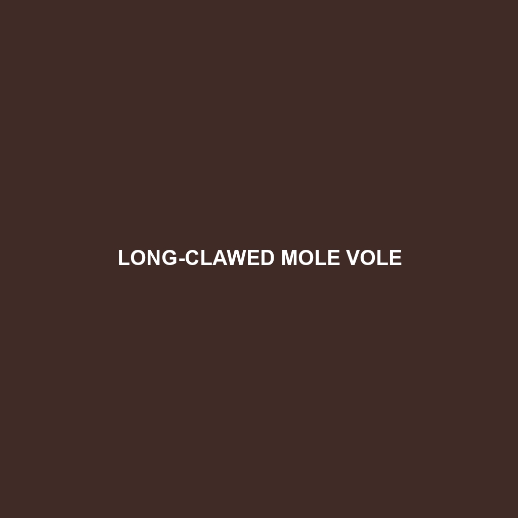 Long-clawed Mole Vole