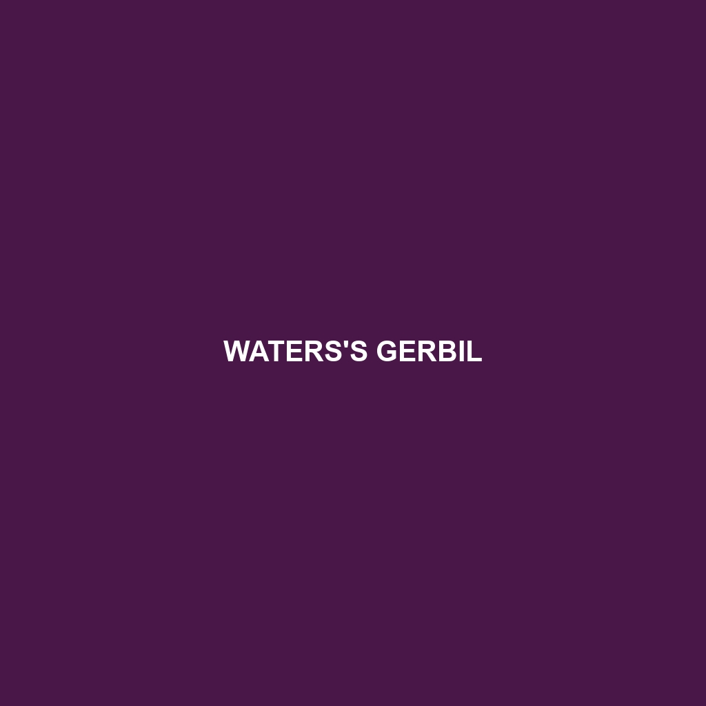 Waters's Gerbil