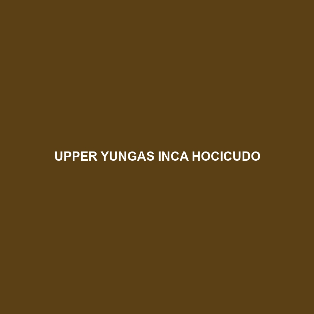 Upper Yungas Inca Hocicudo