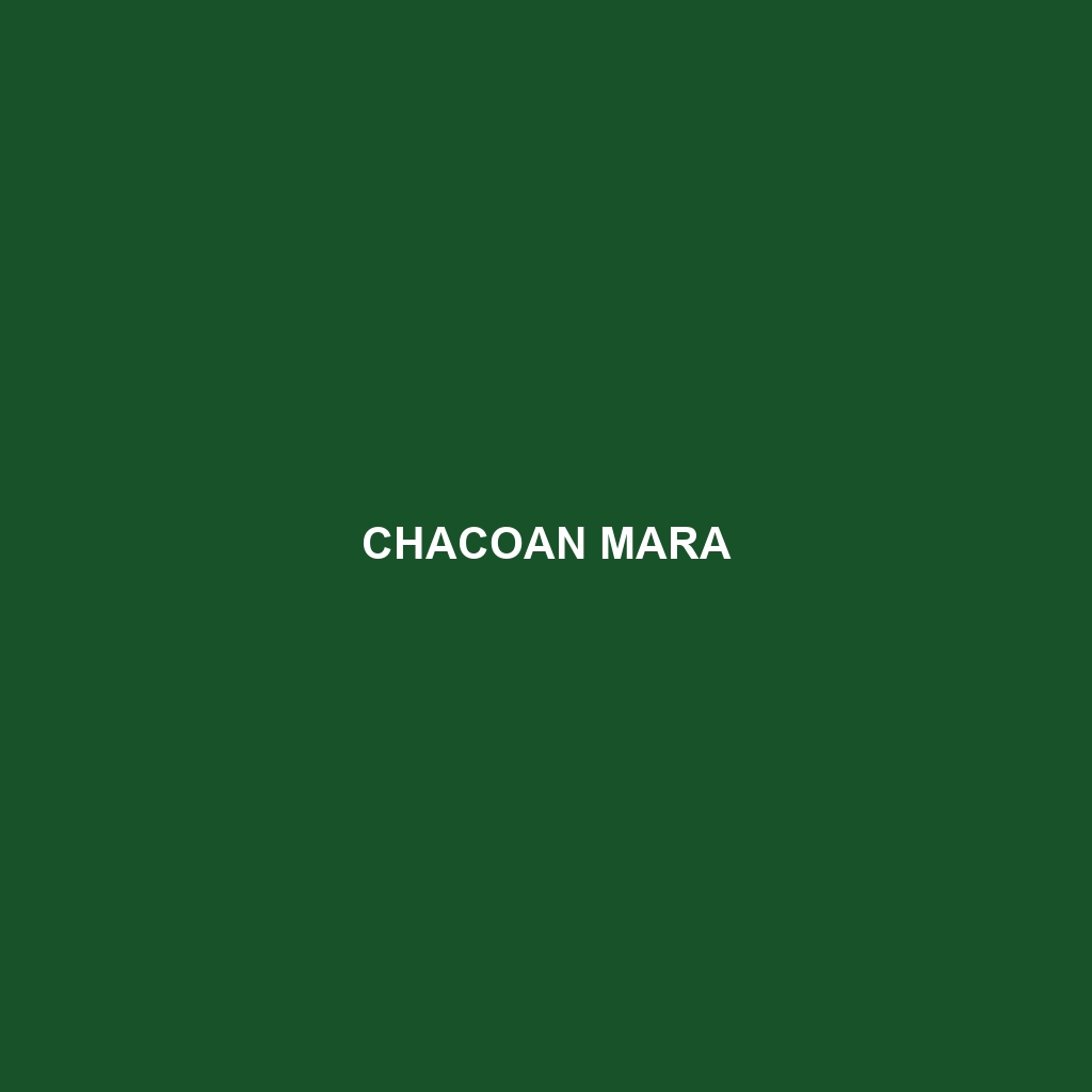 Chacoan Mara