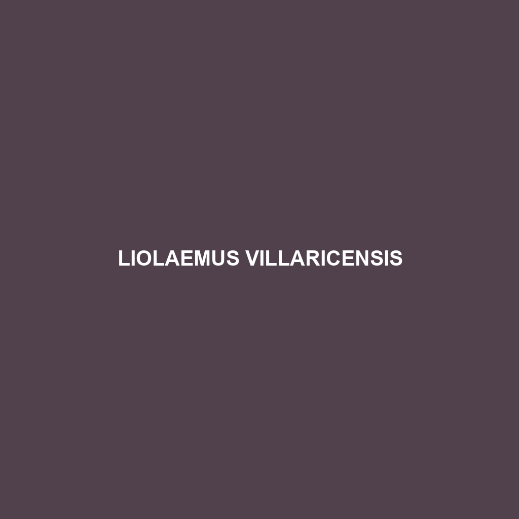 Liolaemus villaricensis