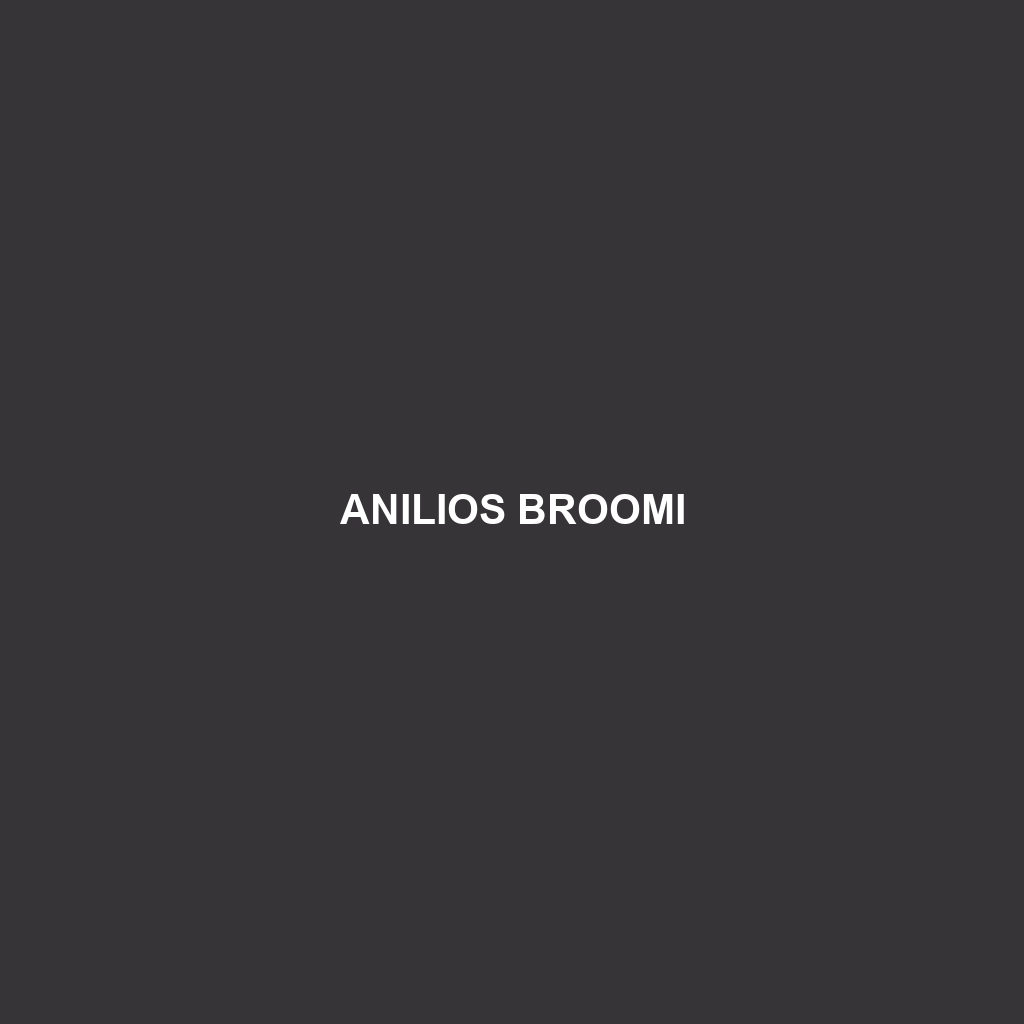 Anilios broomi