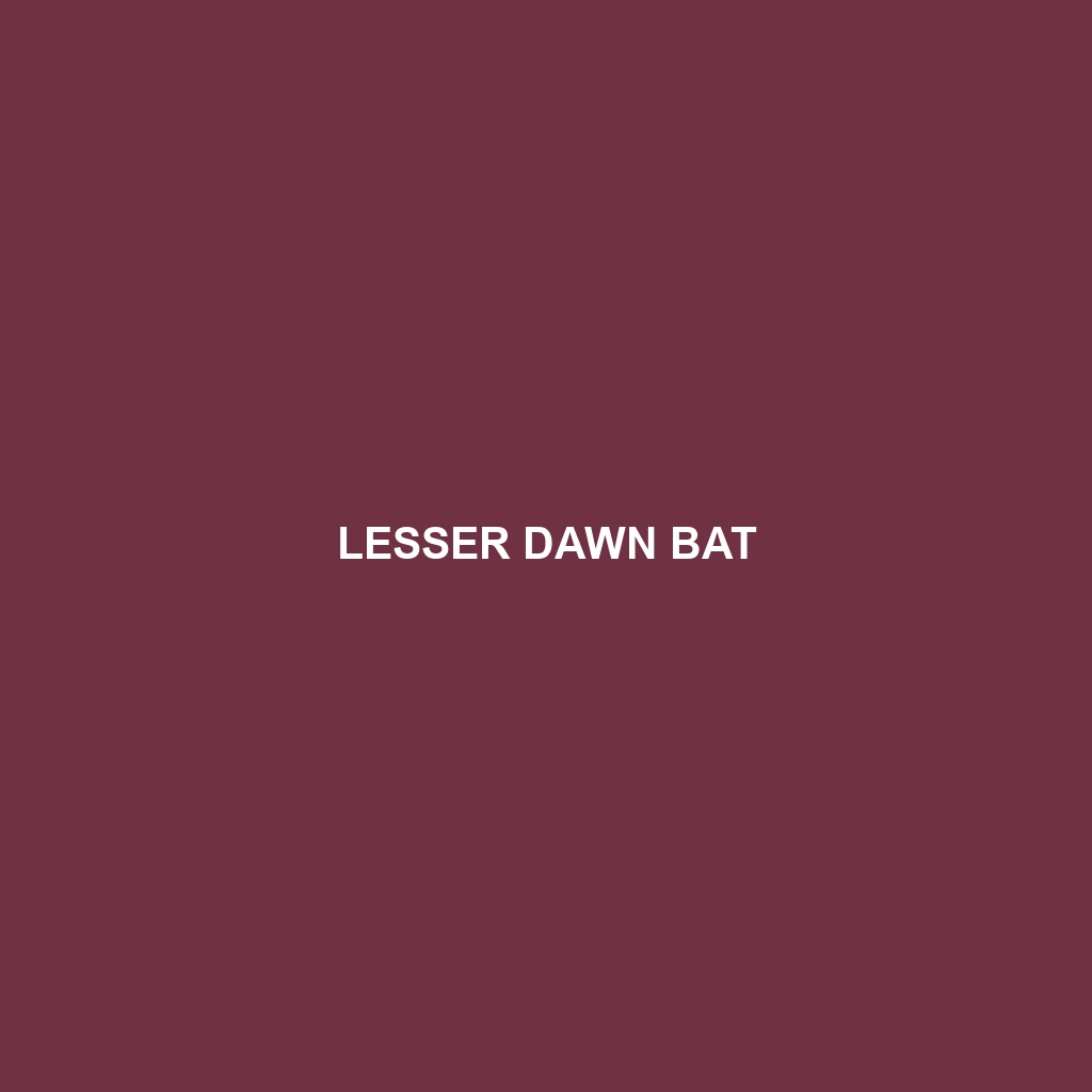 Lesser Dawn Bat