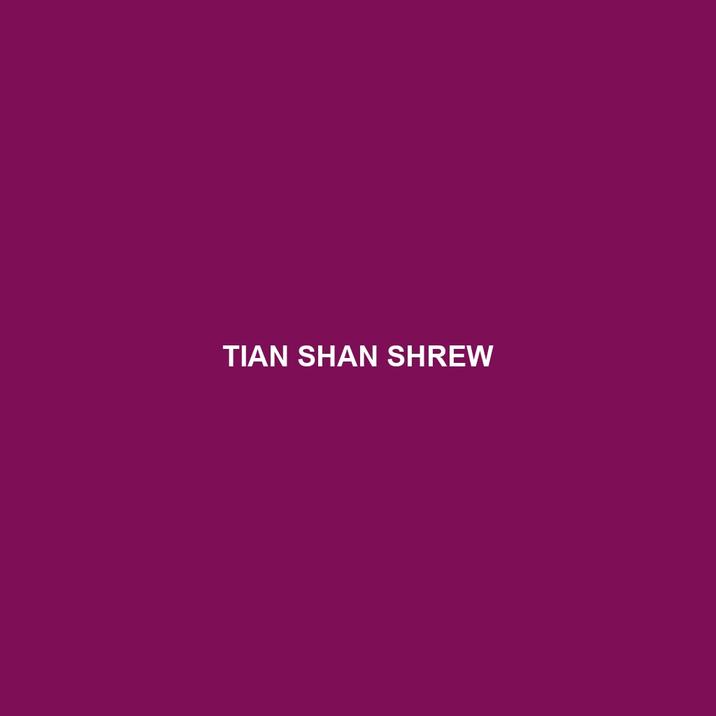 Tian Shan Shrew