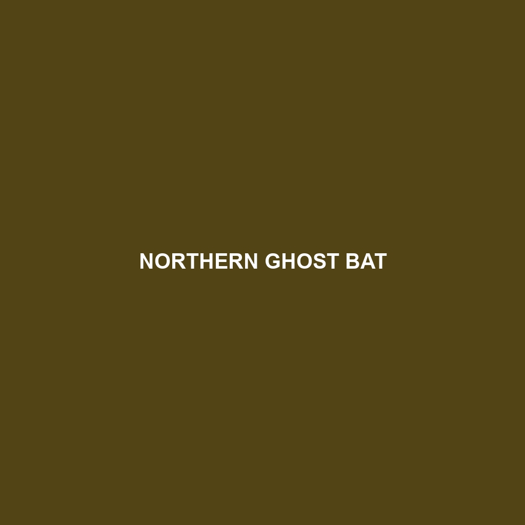 Northern Ghost Bat