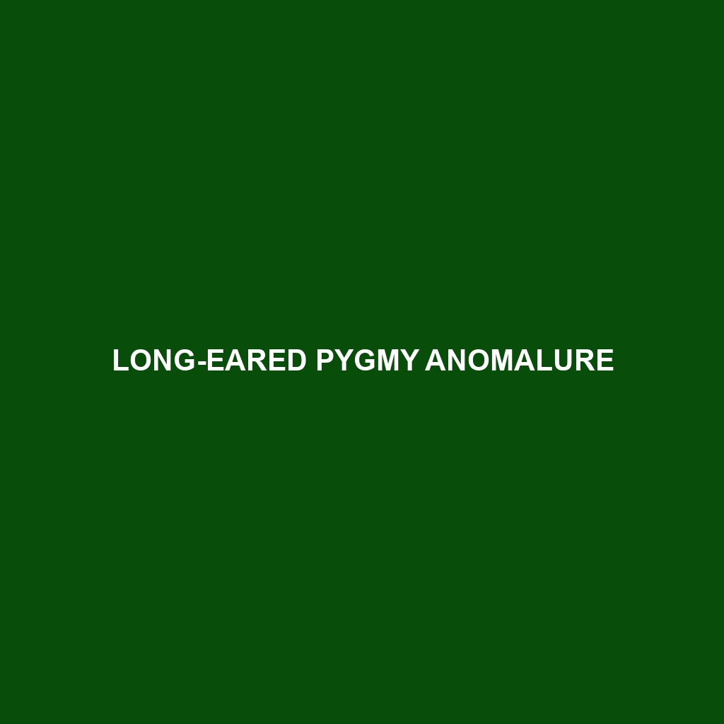 Long-eared Pygmy Anomalure