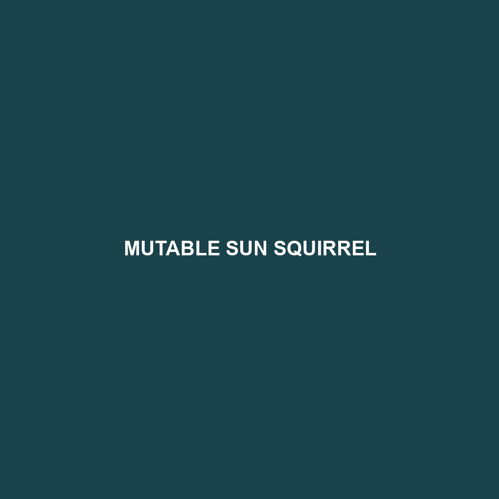 Mutable Sun Squirrel