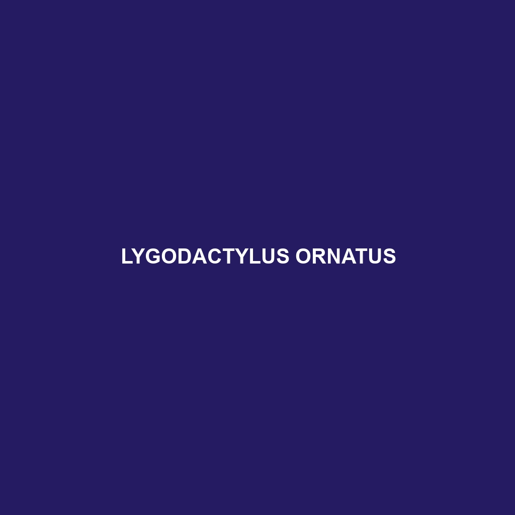 Lygodactylus ornatus