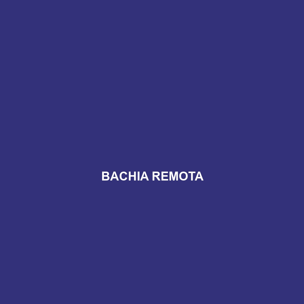 Bachia remota