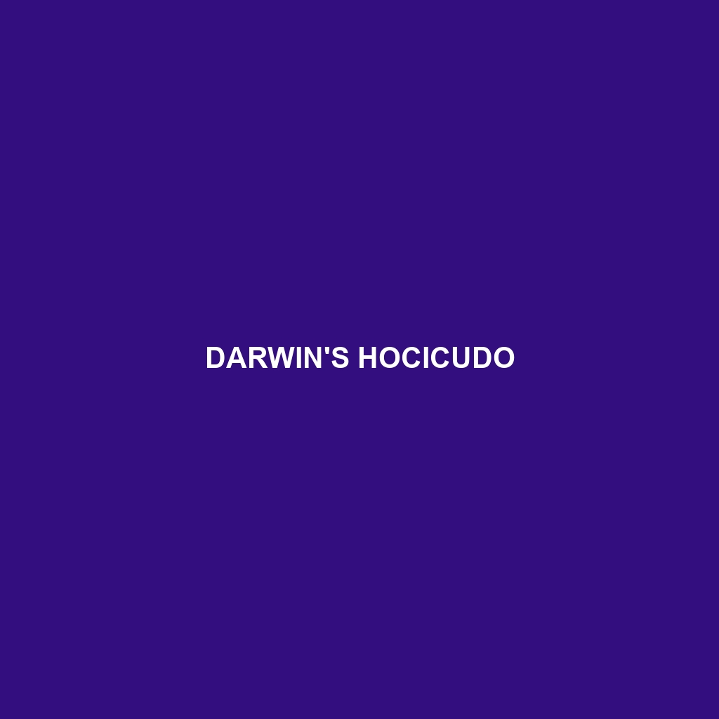 Darwin's Hocicudo