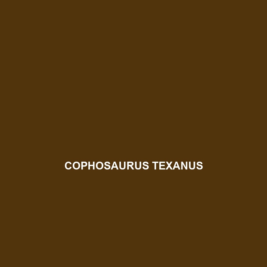 Cophosaurus texanus