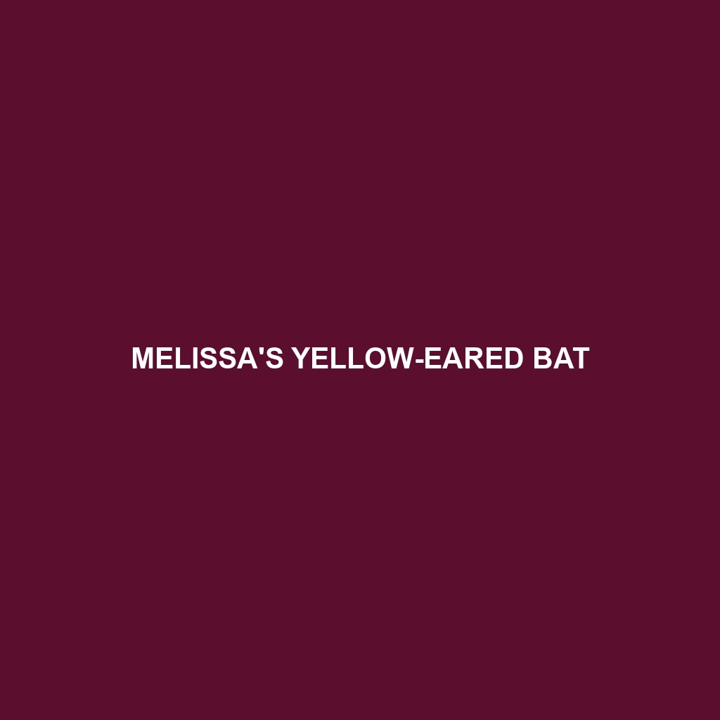 Melissa's Yellow-eared Bat