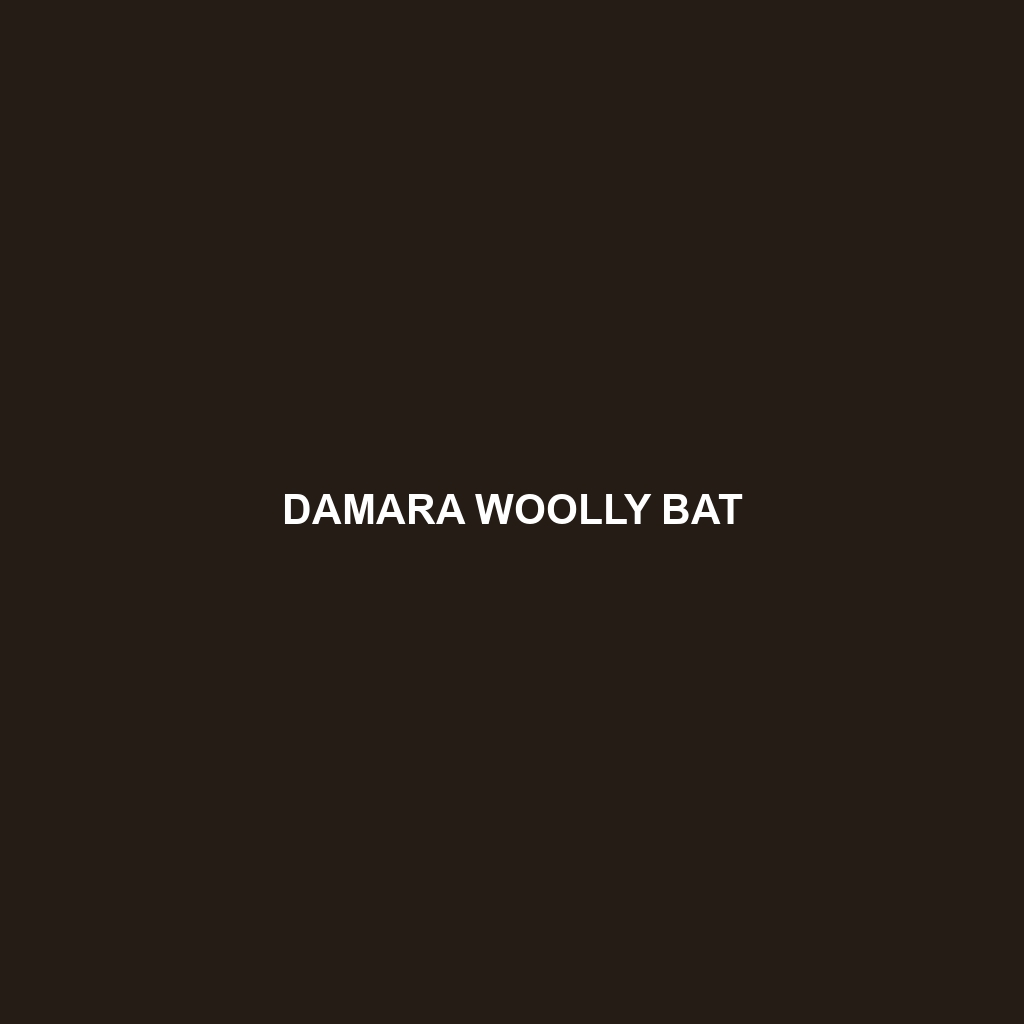 Damara Woolly Bat