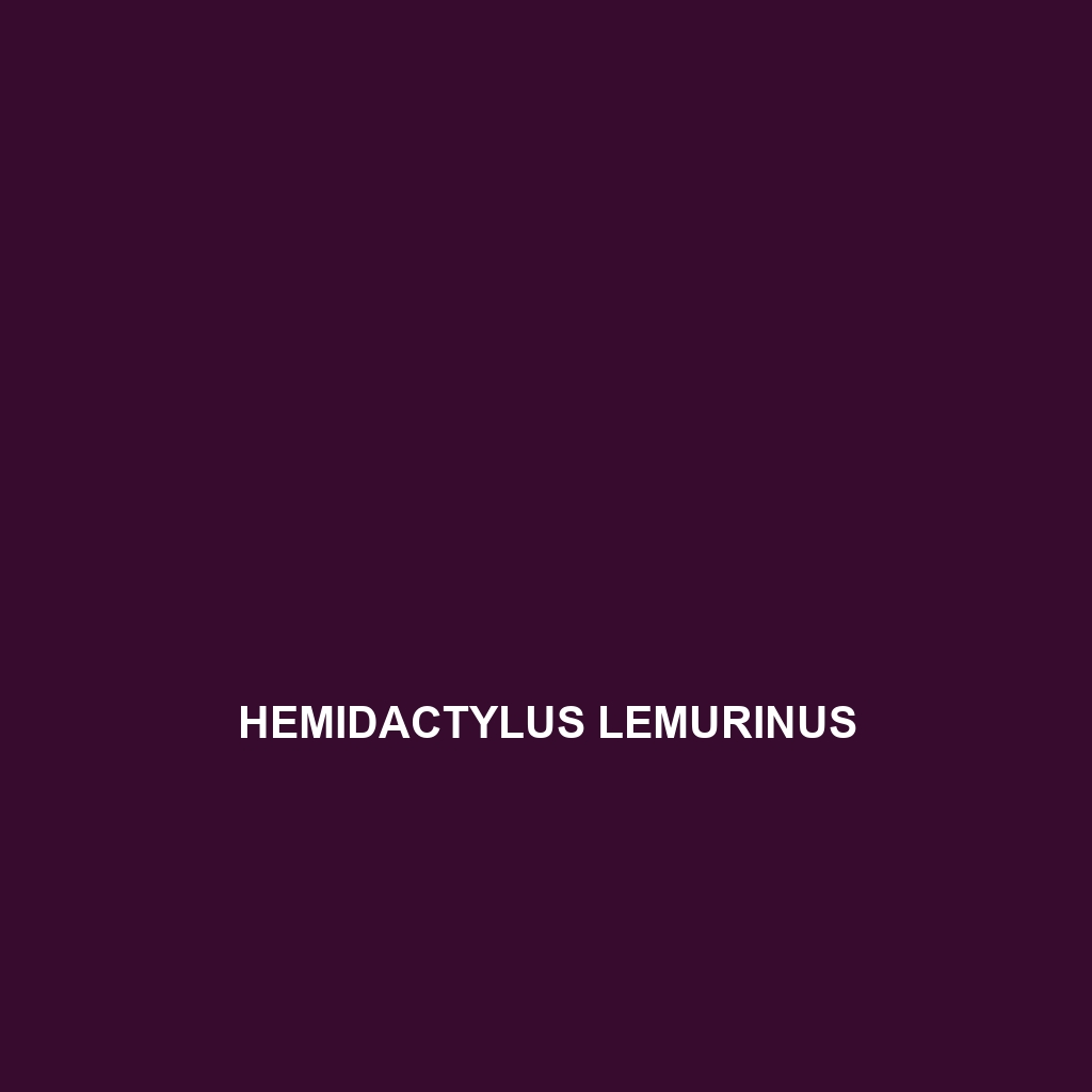 Hemidactylus lemurinus