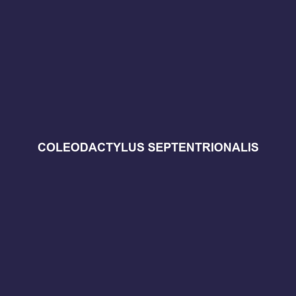 Coleodactylus septentrionalis