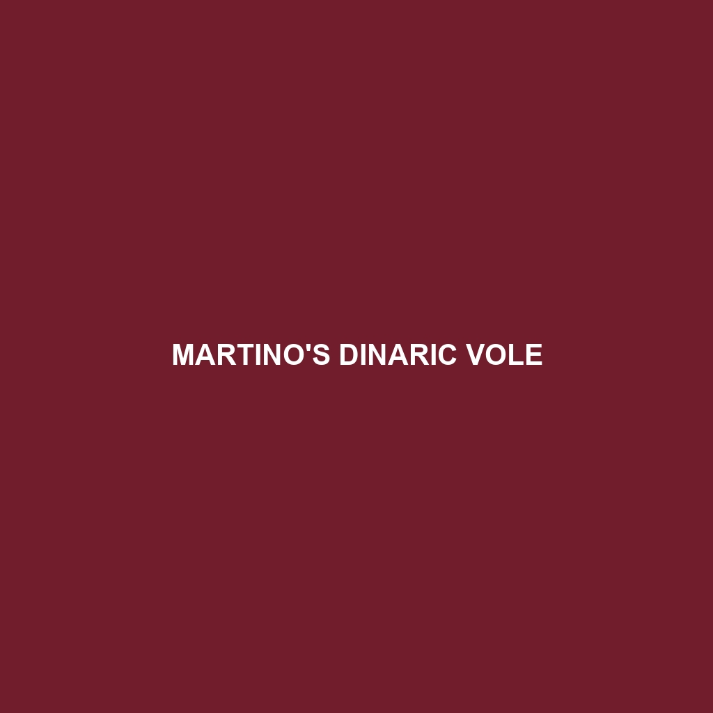 Martino's Dinaric Vole