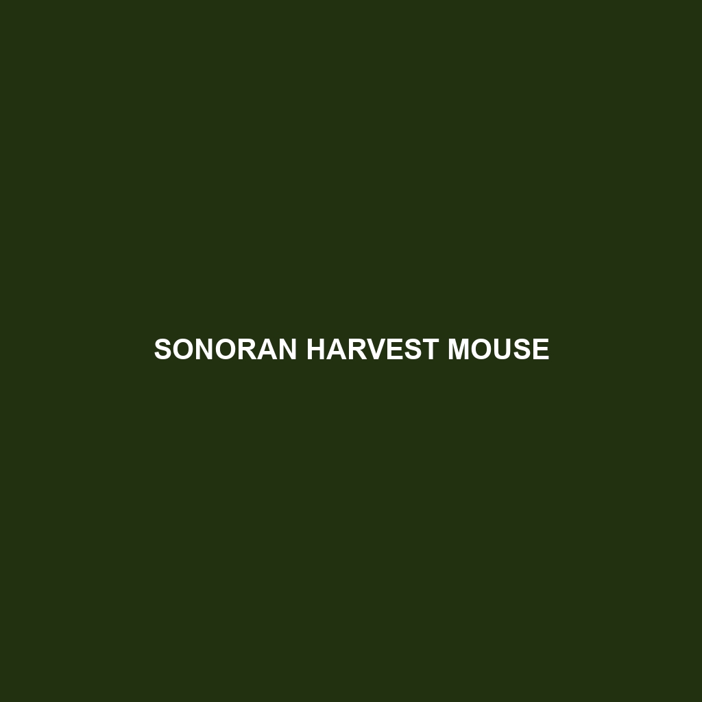 Sonoran Harvest Mouse