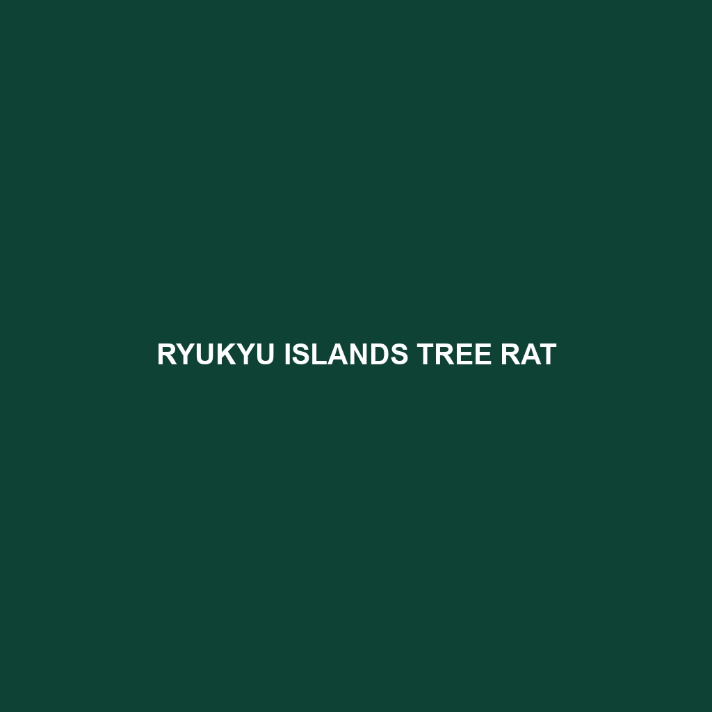 Ryukyu Islands Tree Rat