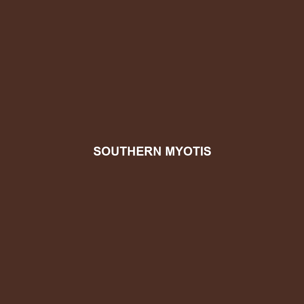 Southern Myotis