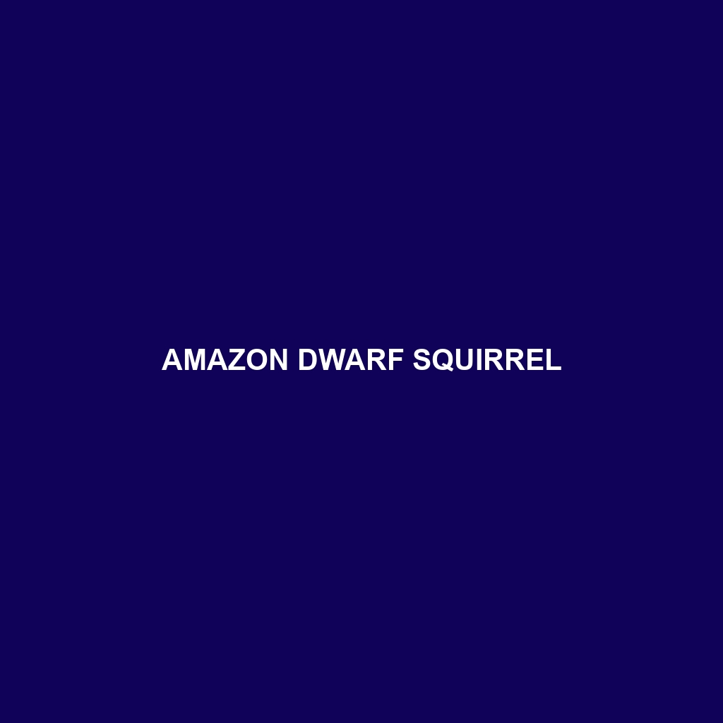 Amazon Dwarf Squirrel