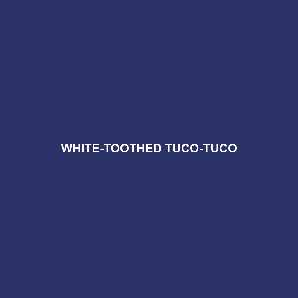 White-toothed Tuco-tuco