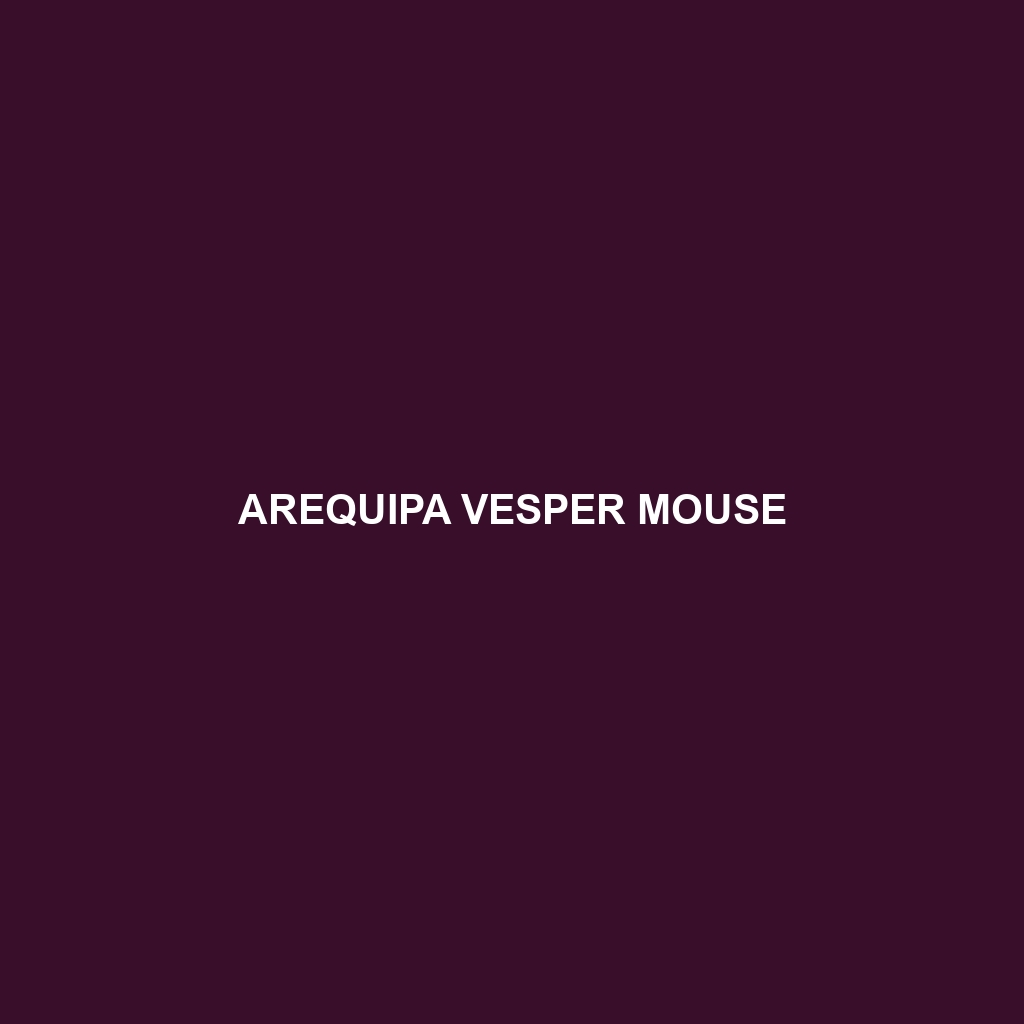 Arequipa Vesper Mouse