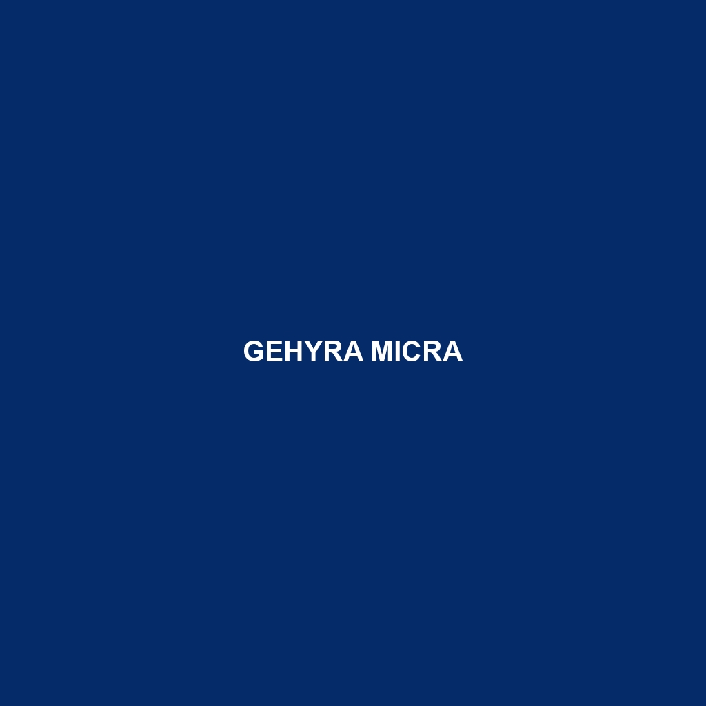 Gehyra micra