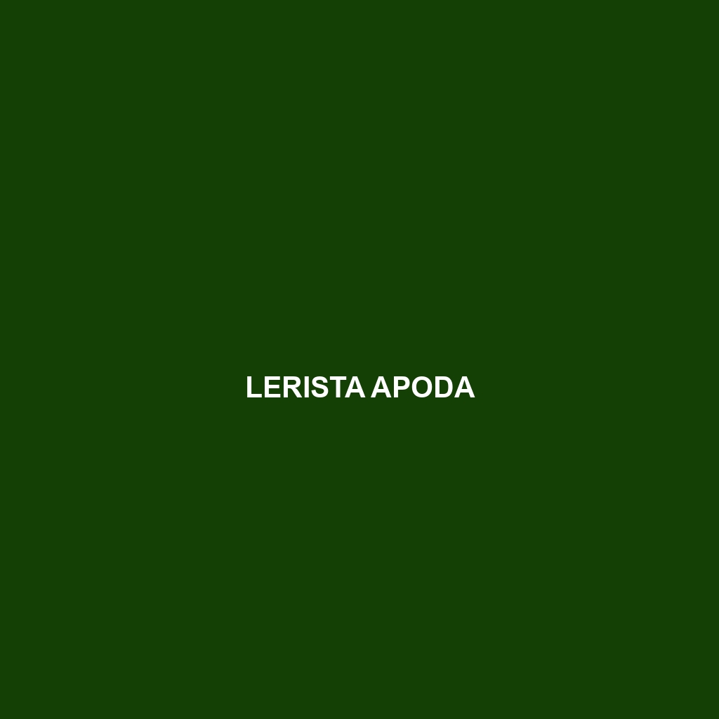 Lerista apoda