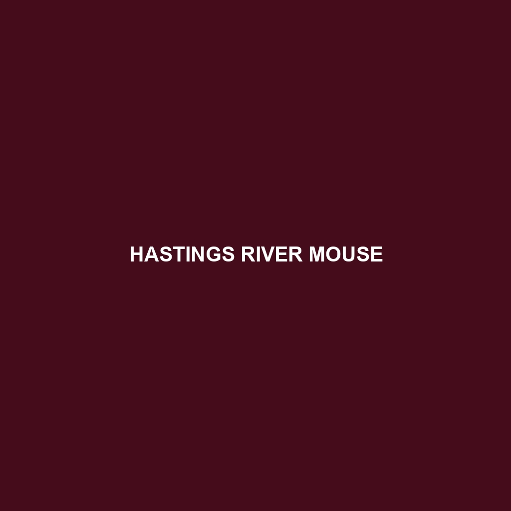 Hastings River Mouse