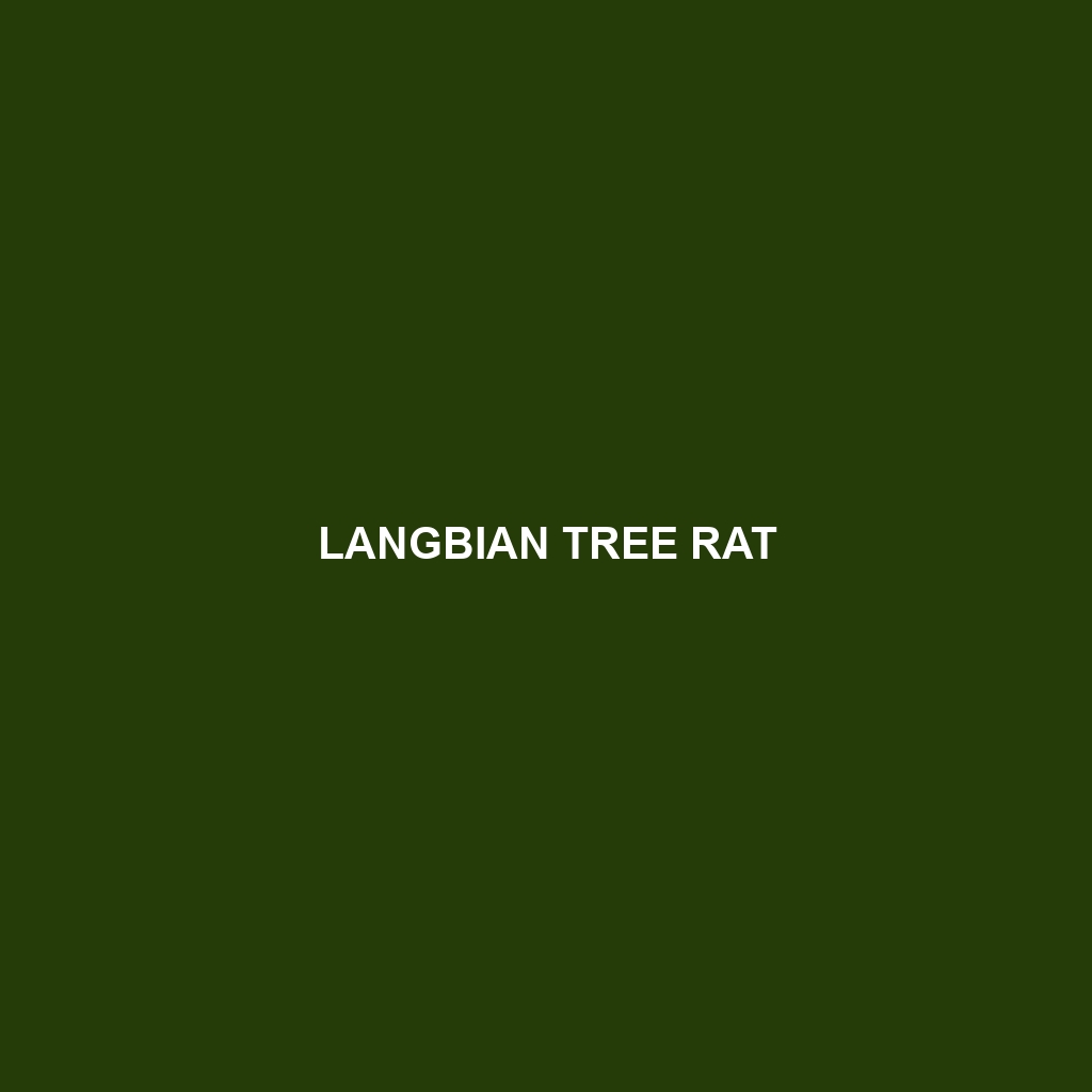 Langbian Tree Rat