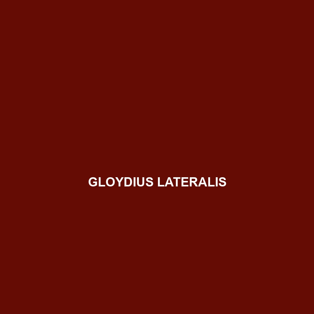 Gloydius lateralis