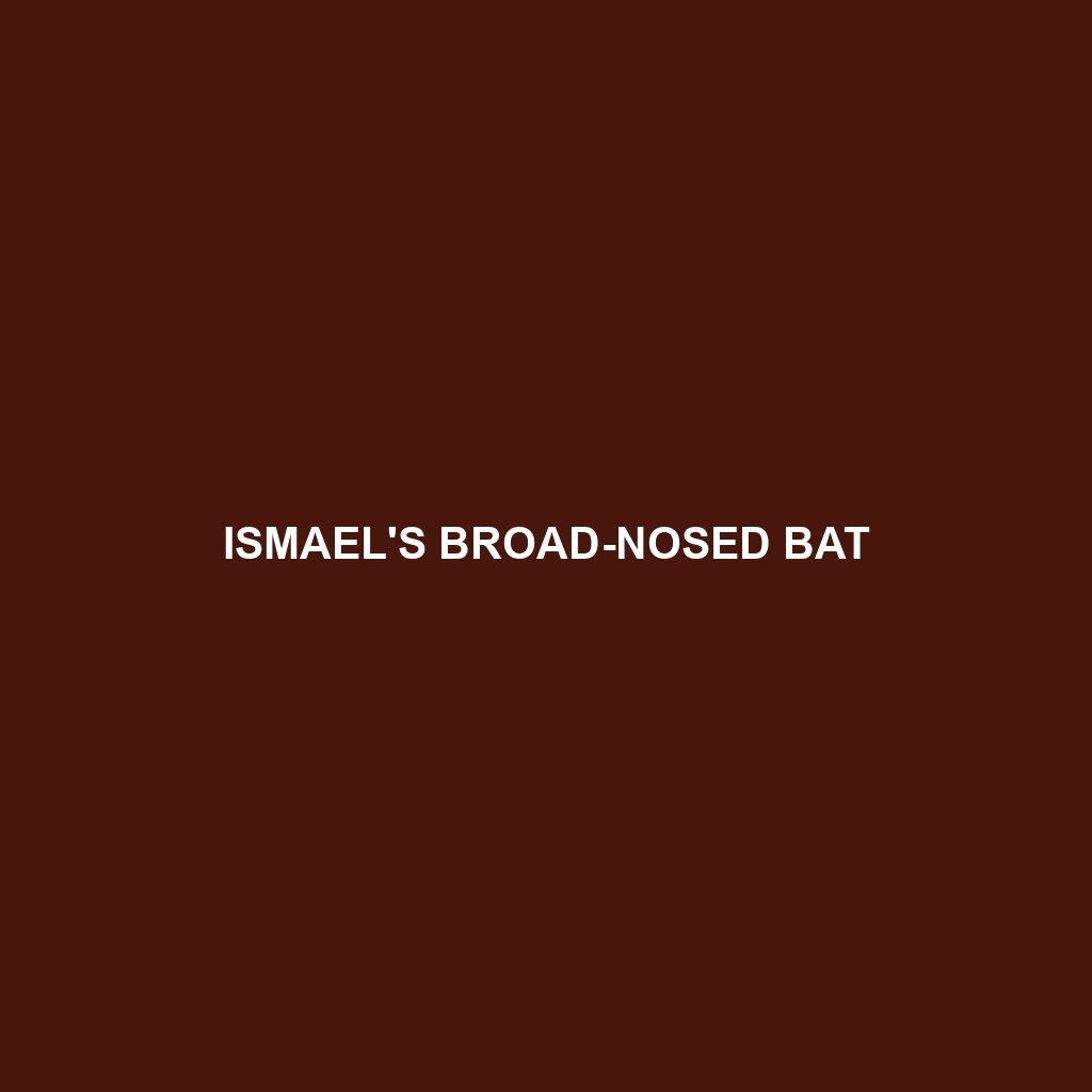 Ismael's Broad-nosed Bat