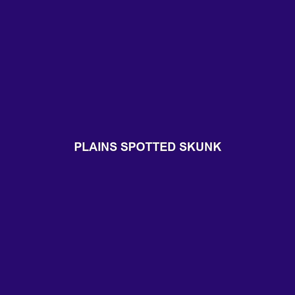 Plains Spotted Skunk